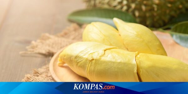 Asam Urat Apa Boleh Makan Durian? Ini Penjelasannya…