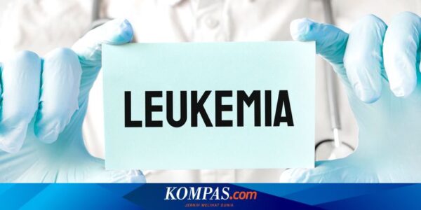 Kenali Leukemia yang Menyerang Sel Darah dalam Tubuh