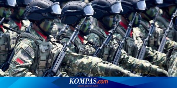 Mantan KSAU Sebut TNI Disiapkan Jadi Perwira Profesional, Bukan Perwira Pemerintahan dan Pengusaha