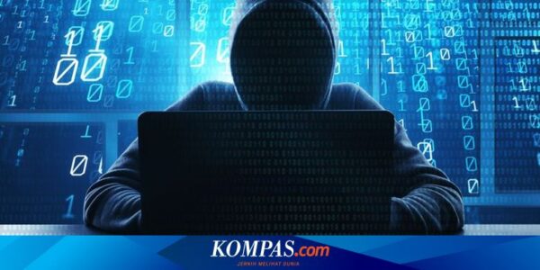 Rilis Dekriptor PDN Cuma-cuma, Hacker: Ini Kunci Gratis Pertama dan Terakhir