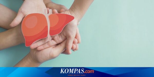 WHO Sebut 1 Orang Meninggal Setiap 30 Detik Akibat Hepatitis