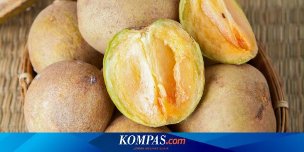 Apa Efek Makan Buah Sawo? Berikut 4 Daftarnya…