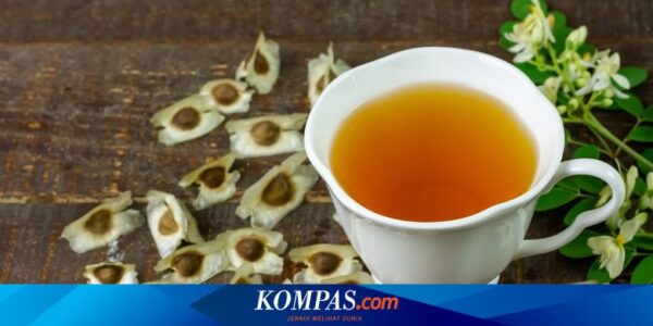 Apa Efek Minum Air Rebusan Daun Kelor? Berikut 5 Daftarnya…