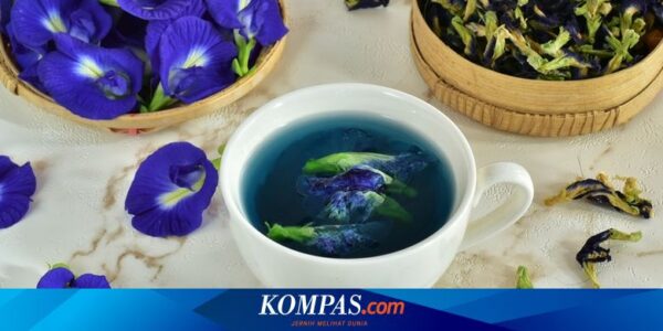 Apa Efek Samping Minum Rebusan Bunga Telang? Berikut 6 Daftarnya