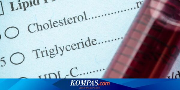 Apakah Kolesterol 225 Termasuk Tinggi? Berikut Penjelasannya…