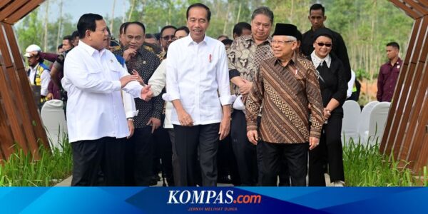 Bandingkan Kualitas Udara di Jawa dengan IKN, Jokowi: Nusantara Sangat Bersih