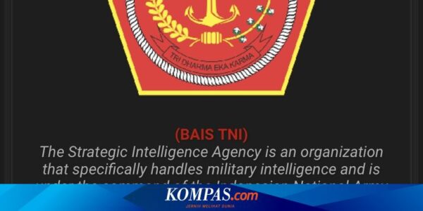 Data Bais Diretas, TNI: Sudah Ditangani Kemenko Polhukam dan BSSN