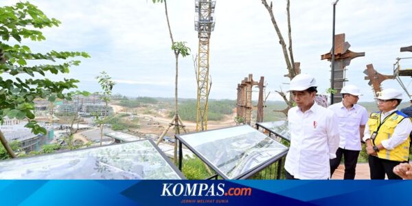 Deretan Alasan Jokowi yang Tak Kunjung Berkantor di IKN