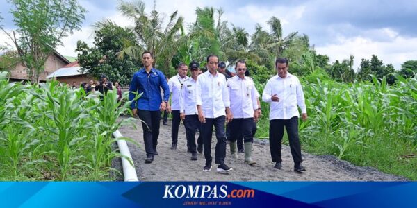 Jokowi: IKN Akan Jadi Titik Pertumbuhan Ekonomi Baru…