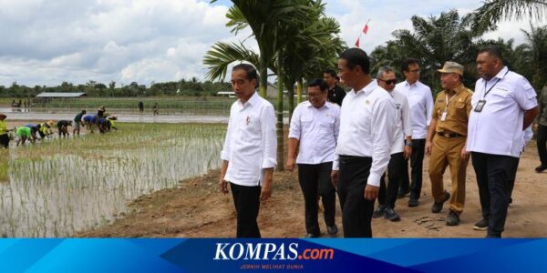 Jokowi Klaim Program Bantuan Pompa Sudah Mampu Menambah Hasil Panen Padi