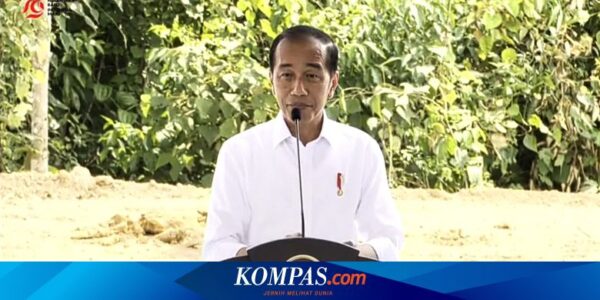 Jokowi Resmikan Taman Kusuma Bangsa IKN, Tempat Renungan Suci Sebelum HUT RI