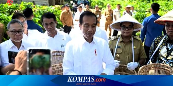 Jokowi Tugaskan Mentan Tingkatkan Produksi Kopi Empat Kali Lipat