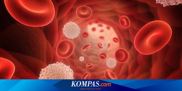 Kenapa Bisa Terjadi Penyempitan Pembuluh Darah? Ini Penjelasan Dokter