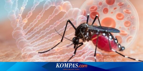 Mengenal ASEAN Dengue Day, dari Sejarah hingga Gerakan Nasional Waspadai DBD dari Waktu ke Waktu