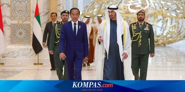 Menlu Ungkap 4 Isu yang Dibahas Jokowi dan Presiden MBZ, Salah Satunya Investasi IKN