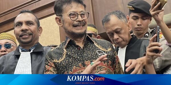 Nasdem Sebut SYL Sudah Tak Berstatus Kader