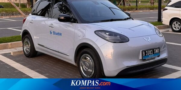 Pasar Prospektif, Simak Daftar Mobil Listrik Terlaris di Indonesia