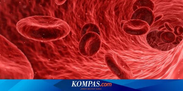 Penyempitan Pembuluh Darah Disebabkan Apa? Berikut 8 Daftarnya…