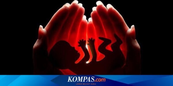 PP Kesehatan Legalkan Aborsi, IDI: Tidak Boleh Dilakukan Sembarangan