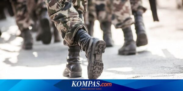 Soal Ide TNI Berbisnis, Agus Widjojo: Fungsi Pertahanan Hanya Boleh Didanai APBN