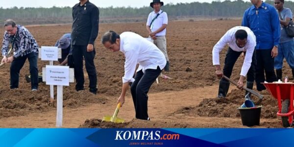 Tanam Tebu di Merauke, Jokowi: Kedaulatan Pangan Harus Jadi Konsentrasi