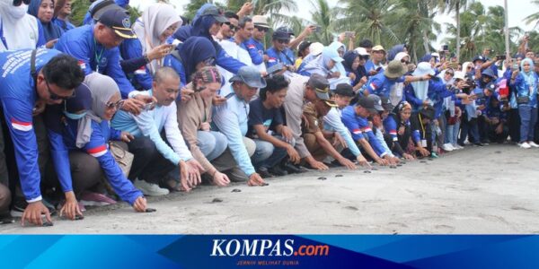 Tingkatkan Kapasitas Penyuluh Perikanan, Kementerian KP Jalin Sinergi dan Kolaborasi dengan Stakeholder