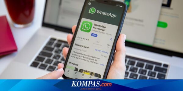 Video Call di WhatsApp Kini Bisa Pakai Filter dan Background, Mirip Zoom