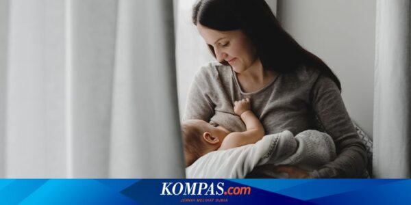 Waktu Kerja Fleksibel Berdampak Positif pada Kesuksesan Pemberian ASI