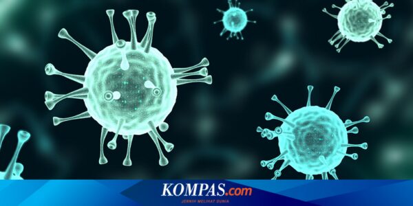 36 Virus Baru Muncul di Peternakan China, Ada yang Berisiko Tinggi Menular ke Manusia