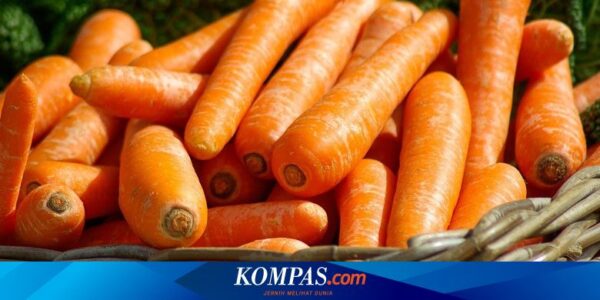 8 Obat Alami untuk Menjaga Kesehatan Mata, Meliputi Wortel dan Telur