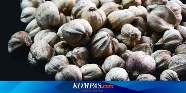 Apa Manfaat Kapulaga bagi Kesehatan?