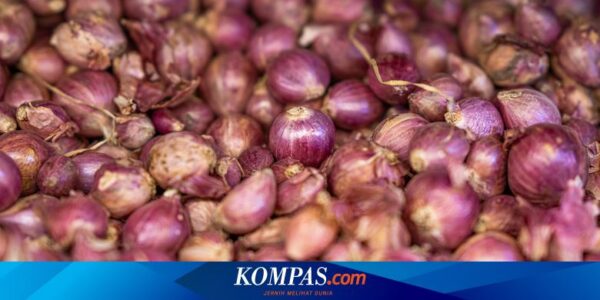 Apa Manfaat Makan Bawang Merah Mentah untuk Kesehatan? Ini Daftarnya…