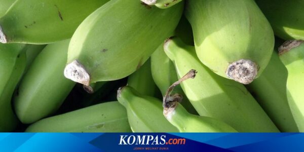 Apakah Pisang Mentah Sehat? Berikut Penjelasannya…