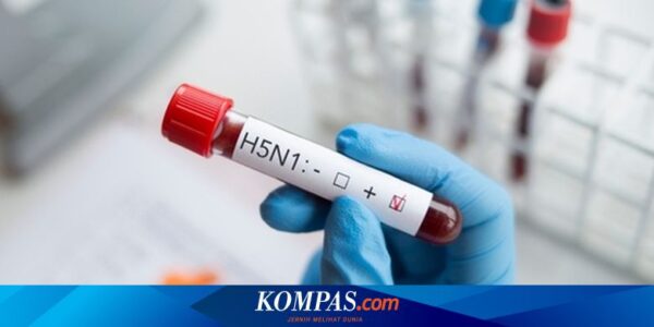 AS Konfirmasi Kasus Flu Burung Pertama Tanpa Kontak dengan Hewan, Apa Kata WHO?