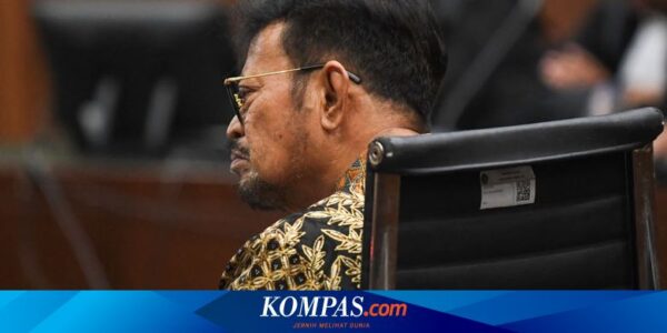 Bela Diri, SYL Putar Video Pidato Arahan Presiden Jokowi di Depan Hakim