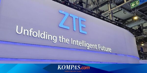 Bos ZTE Ungkap Faktor Utama Pendorong Ekonomi Digital di Indonesia