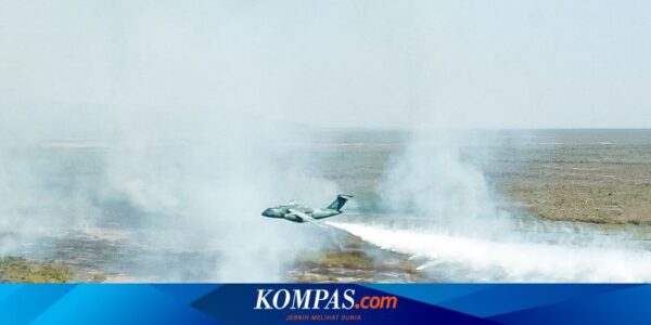 Brasil “Perang” Lawan Kebakaran Hutan, Kerahkan Pesawat Militer