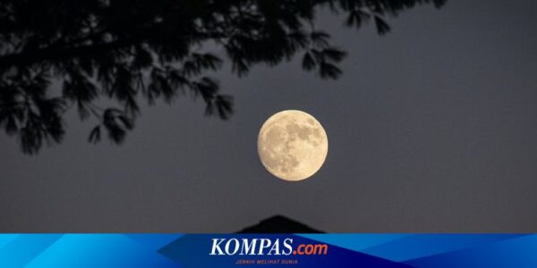 Bumi Akan Peroleh “Bulan” Baru dalam Momen Langka Gravitasi