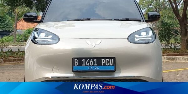 Daftar Mobil Listrik yang Dapat Insentif PPN Tahun 2024