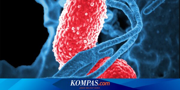 Dokter Luruskan Mitos Mandi Malam Hari Sebabkan Pneumonia