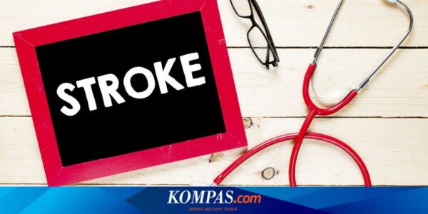 Guru Besar FK UI Ciptakan Alat Digital Deteksi Dini Stroke