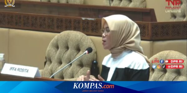 Hasyim Dipecat, Komisi II Sebut Iffa Rosita Semestinya Jadi Komisioner KPU Pengganti