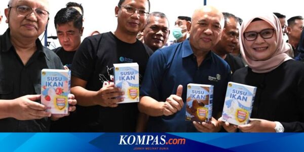 Ide Susu Ikan buat Program Gizi Nasional, Apakah Lebih Ekonomis?