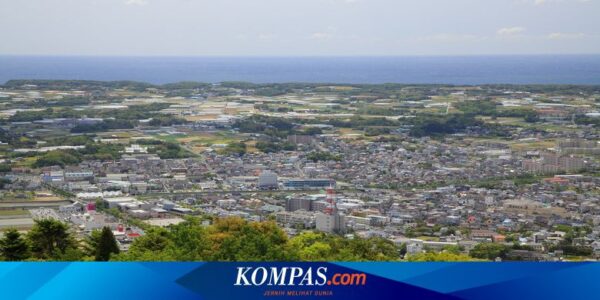 Jepang Kerahkan Jet-jet Tempurnya Saat Pesawat Rusia Mengitari Negara