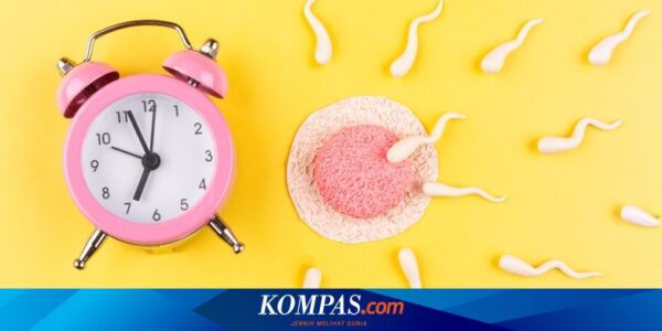 Jika Sperma Masuk Sedikit, Apakah Bisa Hamil? Berikut Penjelasannya…