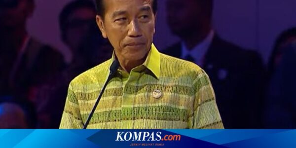 Jokowi Pastikan Kerja Sama Indonesia dan Afrika Berlanjut di Pemerintahan Prabowo