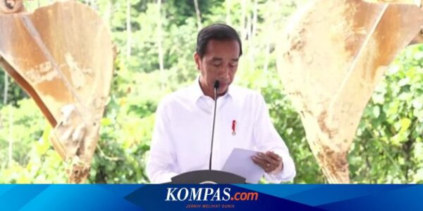 Jokowi Resmikan Pembangunan Kantor BTN di IKN