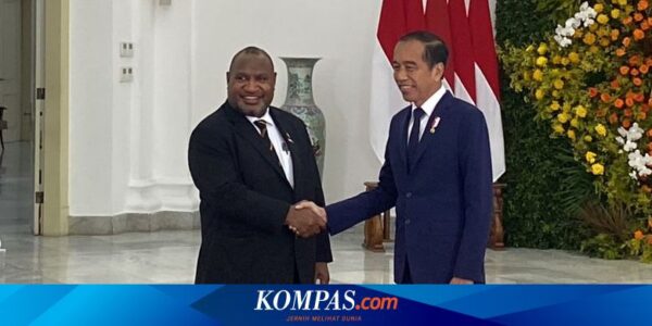 Jokowi Ungkap PLN Sudah Aliri Listrik di Perbatasan Indonesia-Papua Nugini