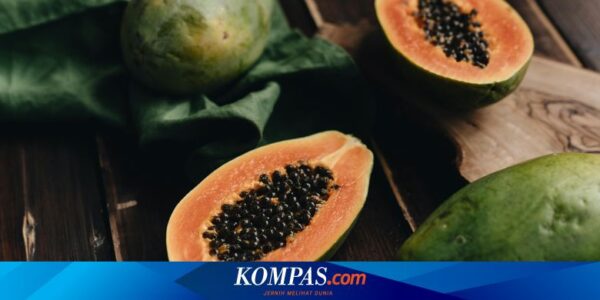 Kelompok Penyakit Apa yang Tidak Boleh Makan Buah Pepaya?