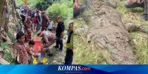 Malaysia Tembak Mati Buaya yang Makan Pekerja Asal Indonesia di Sabah, Bagaimana Prosesnya?